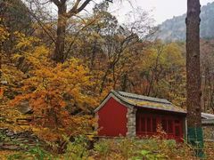 -北京上方山国家森林公园