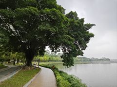 -南国桃园旅游度假区
