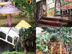 -正佳雨林生态植物园