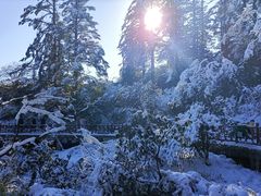-瓦屋山景区