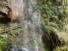 -龙苍沟森林公园