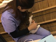 -芭比堂动物医院·24小时·眼科中心(深圳中心)