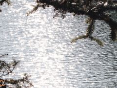 -泽雅七瀑涧景区