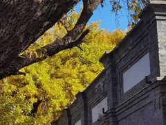 -嵩祝寺及智珠寺