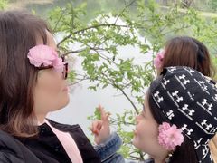 -东海大峡谷