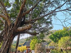 -河源客天下-温泉小镇