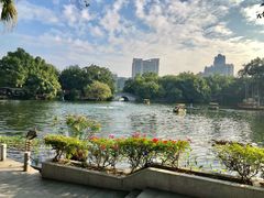 -荔湾湖公园
