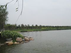 -天津东丽湖风景区