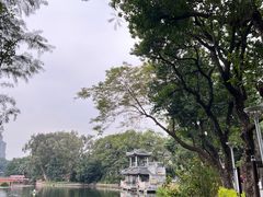 -荔湾湖公园