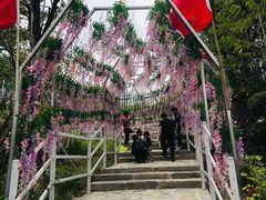 -清境桃源