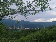 -白水寺森林公园