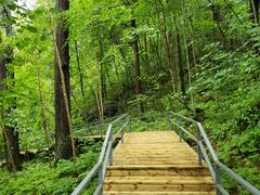 -五营红松林海景区