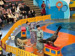 -海合安武汉极地海洋公园