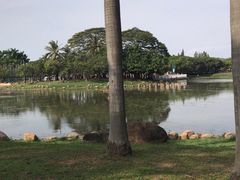 -海上田园