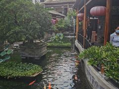 -猪肉婆私房菜(容桂总店)