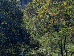 -燕子河大峡谷天坑仙境