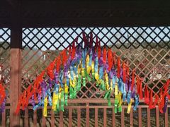 -绵阳盛世樱花悠乐谷