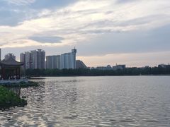 -莲花池公园