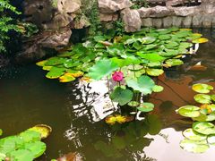 -漫渡庄绿岛花园•隐世庭园菜(滨湖店)