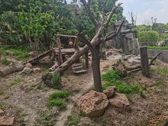 -宁波野生动物园
