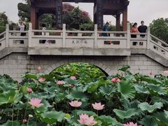 -惠州西湖丰渚园