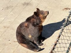 -大连森林动物园