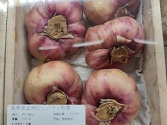-T11生鲜超市(朝阳公园店)