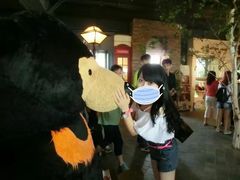 -济州岛泰迪熊博物馆