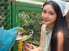 -灵玲国际马戏城