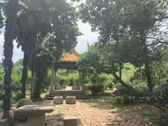-雨花胜境