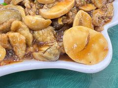 蚝油蘑菇牛柳-白魁老号饭庄(交道口店)