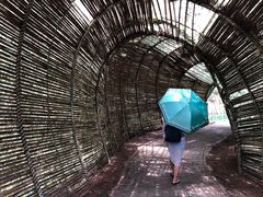 -北海金海湾红树林生态旅游区