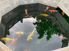 -西安市广仁寺