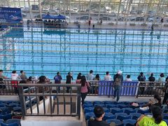 -深圳大学城（南区）体育中心-游泳馆