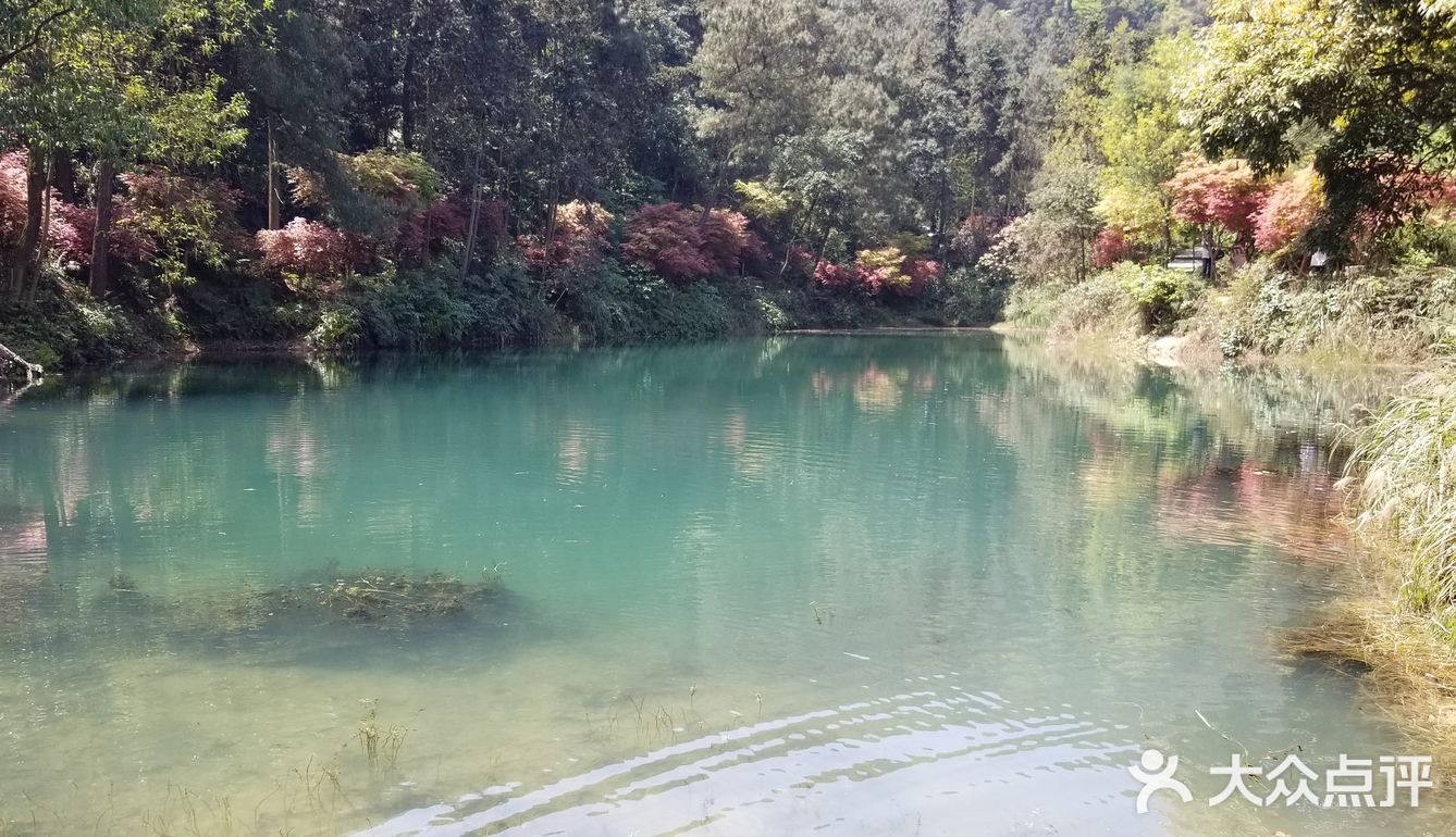 九龙坡金凤镇的九凤瑶池不要门票地方不大