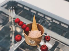 开胃山楂味雪糕-歎雪糕低糖低脂Gelato冰淇淋