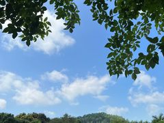 -立新湖公园