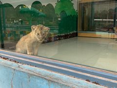 -大连森林动物园