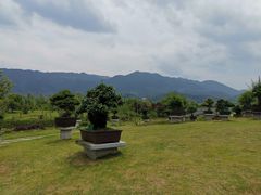 -炎帝陵景区