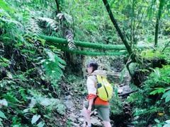 -西岭雪山大飞水景区