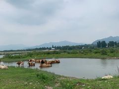 -白草畔自然风景区