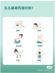 -香薇妮丝女子减肥院