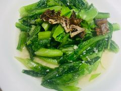 -東大方(安吉灵芝店)