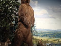 -陕西自然博物馆