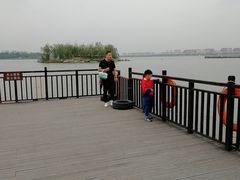 -武清南湖绿博园