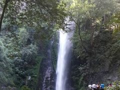 android_upload_pic-莫里热带雨林景区