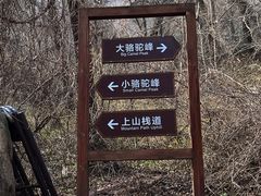 -大岭沟猕猴桃谷风景区