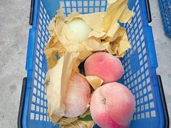 -南汇新场正宗水蜜桃采摘