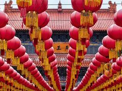 -莲花岛景区