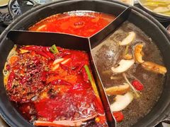-巴蜀大将火锅(春熙店)